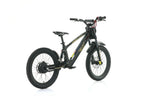 Bici Elettrica Evo Racing 20