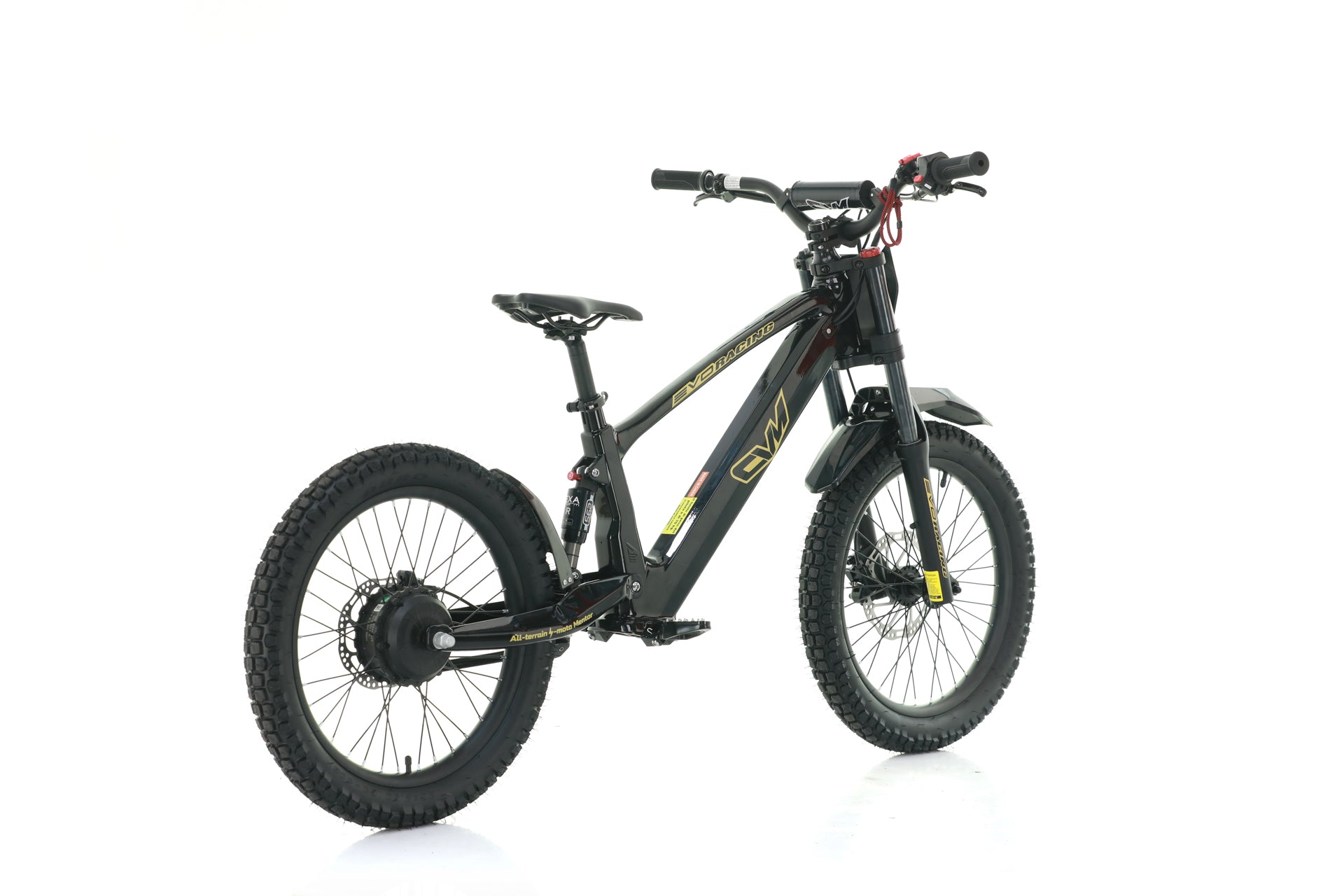 Bici Elettrica Evo Racing 20