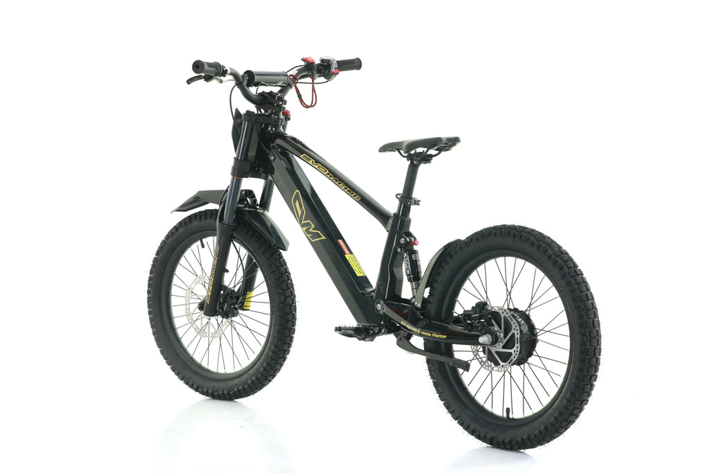 Bici Elettrica Evo Racing 20