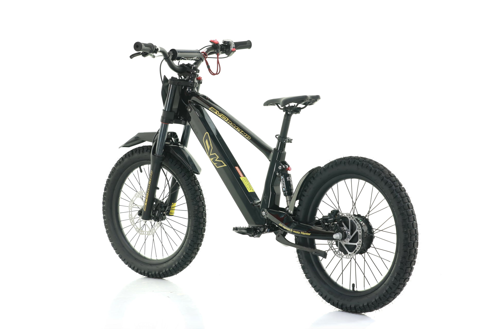 Bici Elettrica Evo Racing 20