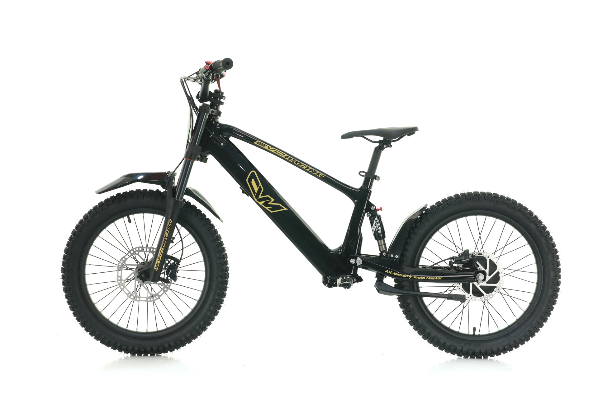 Bici Elettrica Evo Racing 20