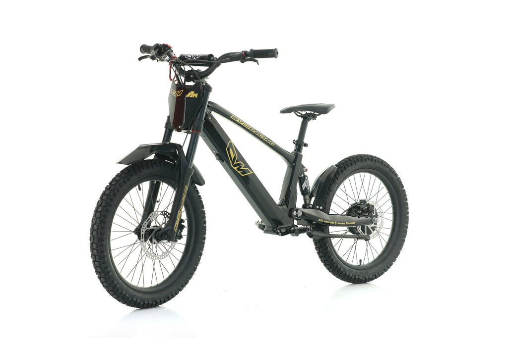 Bici Elettrica Evo Racing 20