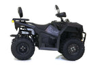 Maxi Quad CYBERROAMER 250cc T3B