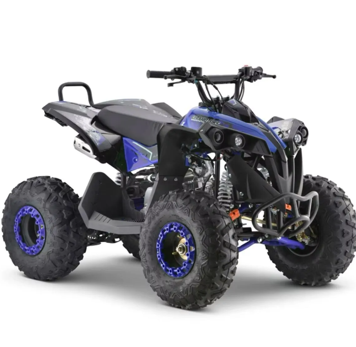 Quad Renegade 125cc Ruote 8 XXL