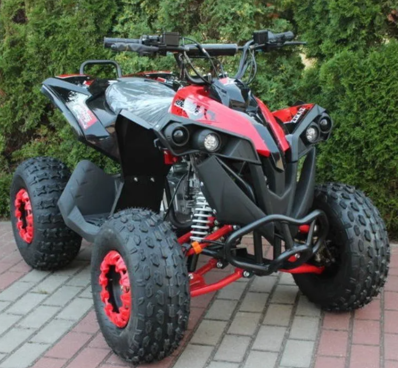 Quad Renegade 125cc Ruote 8 XXL
