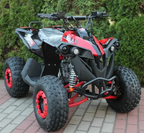 Quad Renegade 125cc Ruote 8 XXL