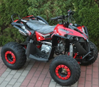 Quad Renegade 125cc Ruote 8 XXL