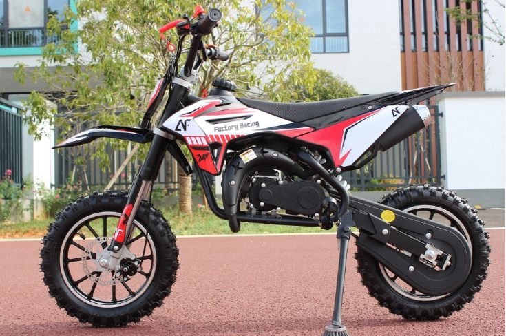 Mini Cross 50cc Dragon 2 Tempi Racing Doppio Scarico
