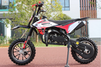Mini Cross 50cc Dragon 2 Tempi Racing Doppio Scarico