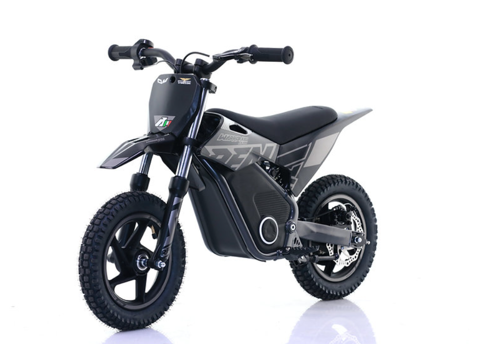 Mini Cross Elettrica Warrior Sx-E250