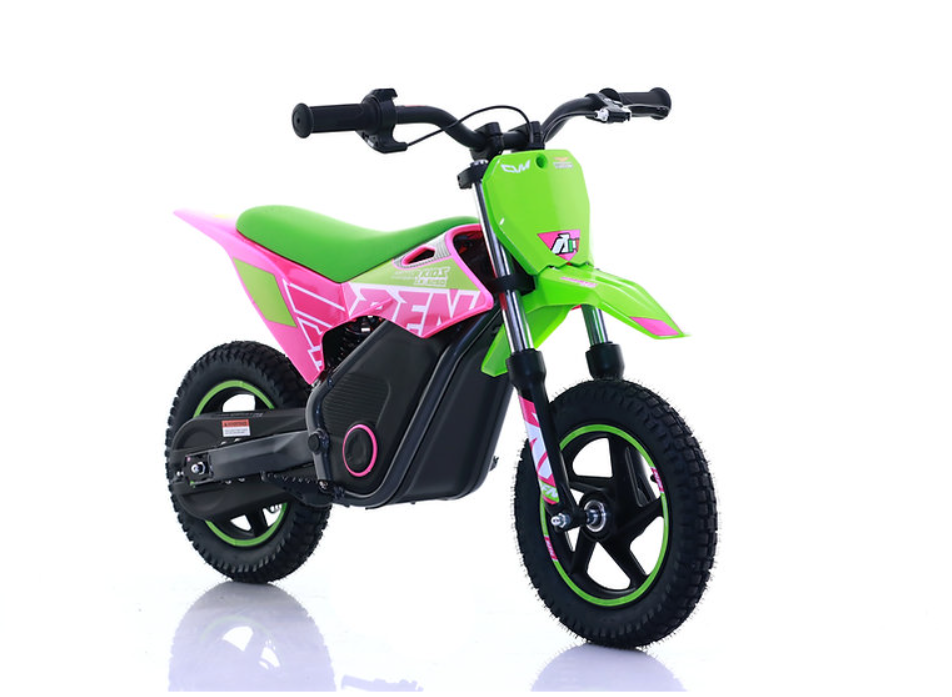 Mini Cross Elettrica Warrior Sx-E250