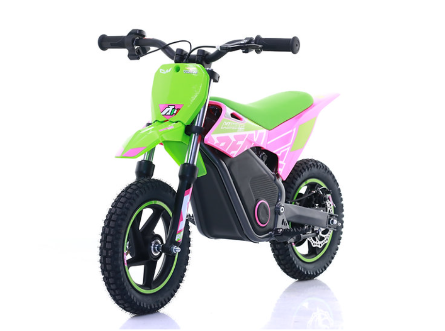 Mini Cross Elettrica Warrior Sx-E250
