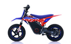Mini Cross Elettrica Warrior Sx-E250