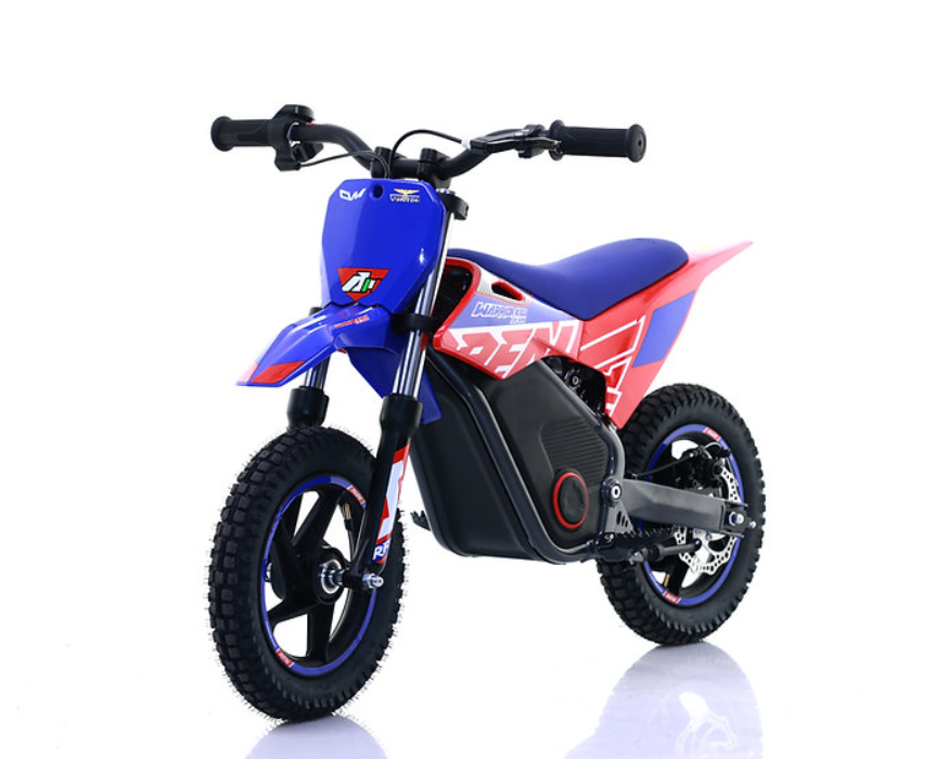 Mini Cross Elettrica Warrior Sx-E250