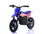 Mini Cross Elettrica Warrior Sx-E250