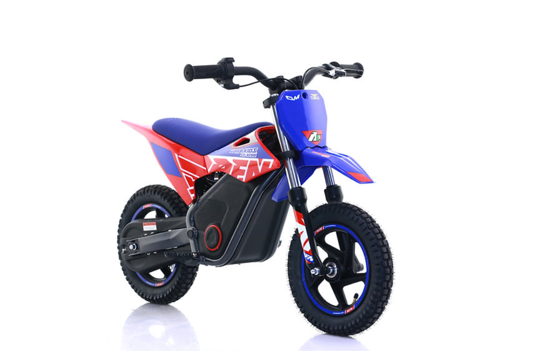 Mini Cross Elettrica Warrior Sx-E250