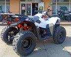 Maxi Quad 300cc Ruota 10 Kayo - Omologabile