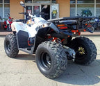 Maxi Quad 300cc Ruota 10 Kayo - Omologabile