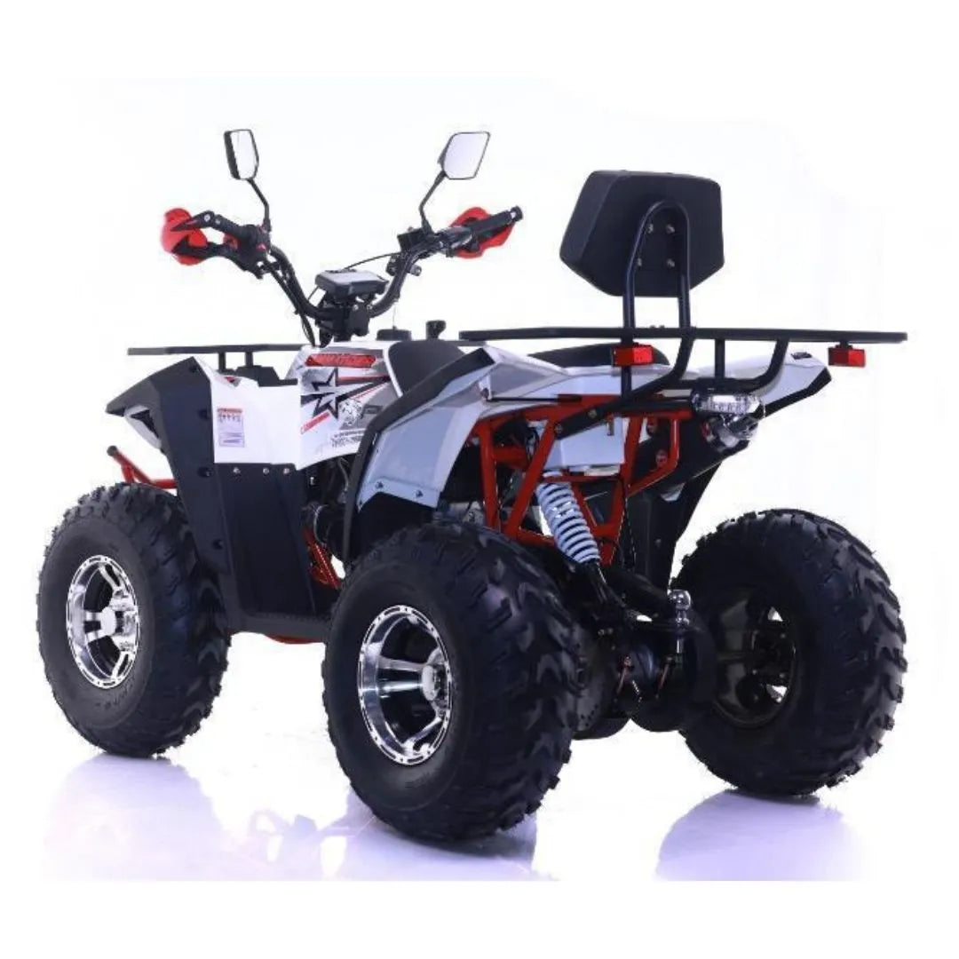 Maxi Quad Commander 200cc Ruota 10