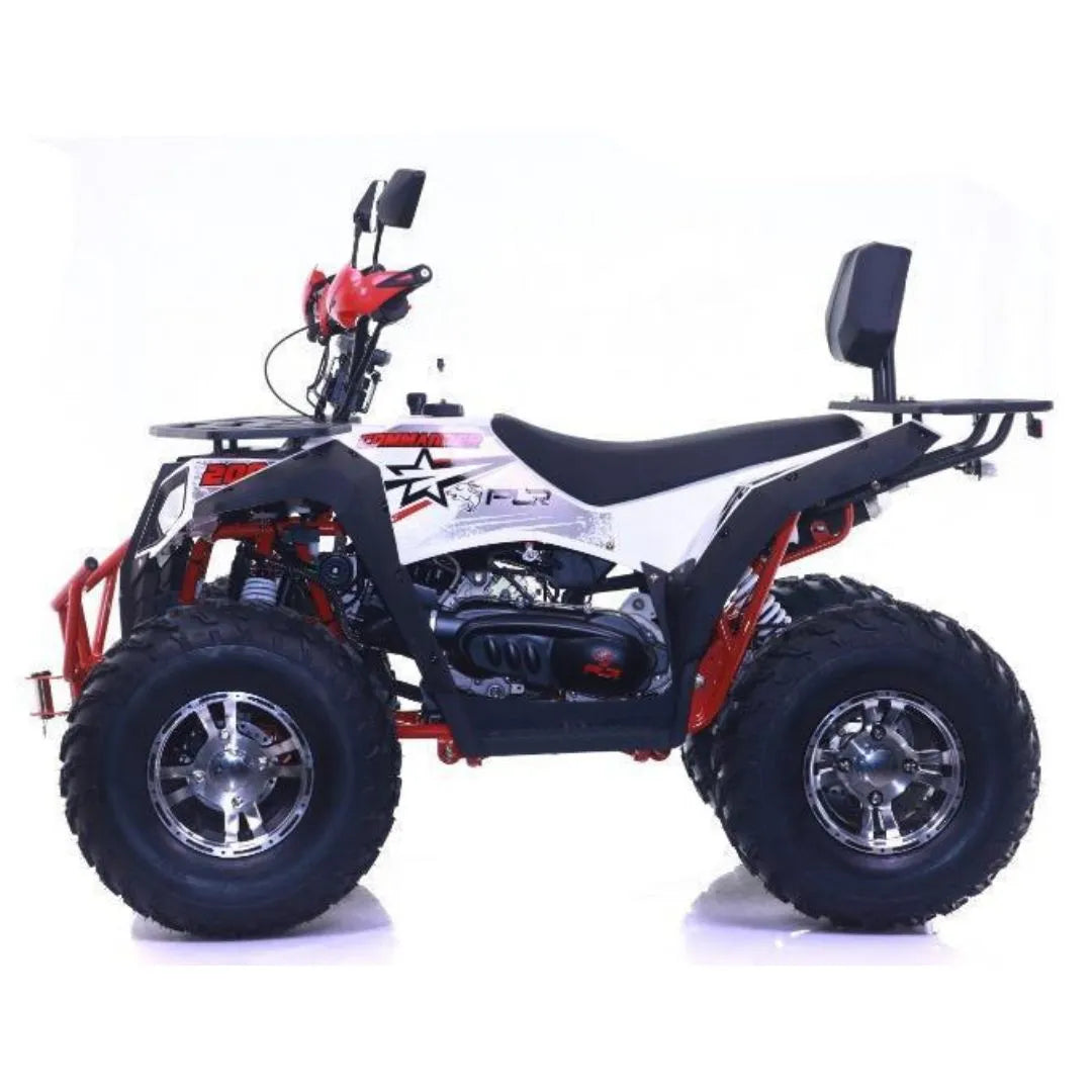 Maxi Quad Commander 200cc Ruota 10