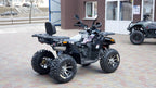 Quad Mega Shark ATV 200cc Ruote 10 LED