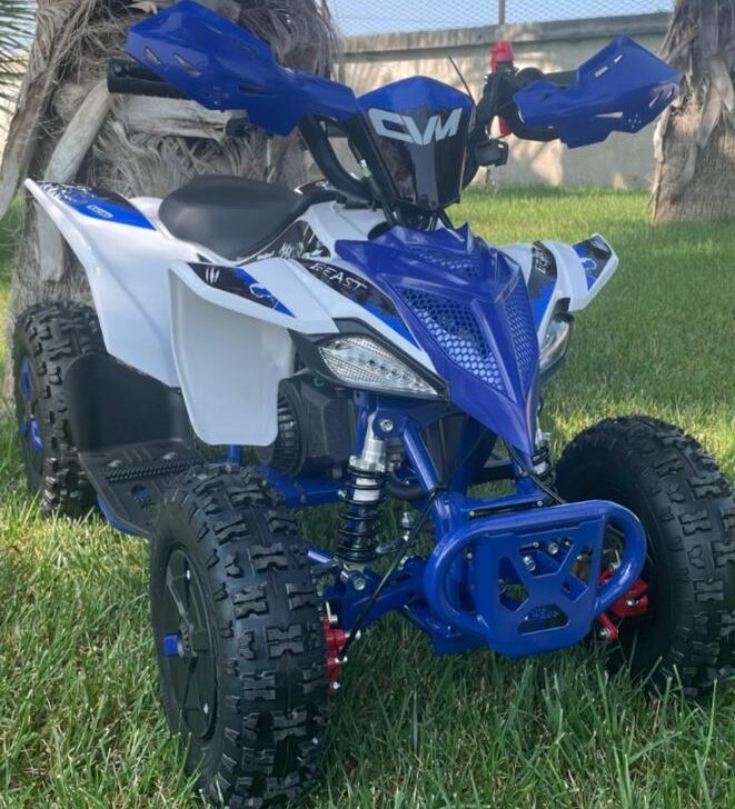 Mini Quad Tigre 50cc Ruote 6