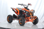 Mini Quad Renegade  50cc XXL Ruote 6