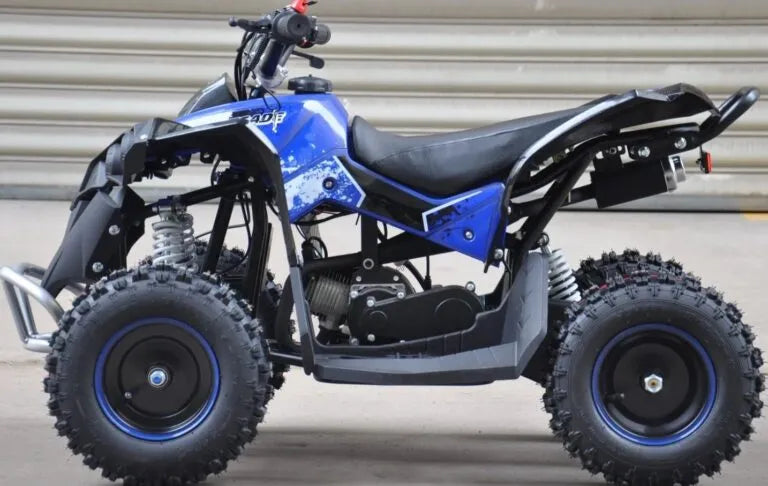 Mini Quad Renegade  50cc XXL Ruote 6