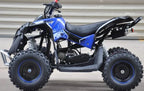 Mini Quad Renegade  50cc XXL Ruote 6