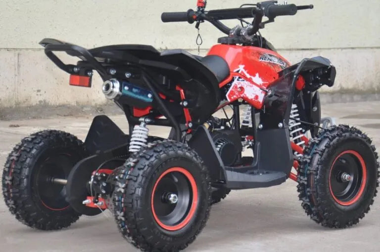Mini Quad Renegade  50cc XXL Ruote 6