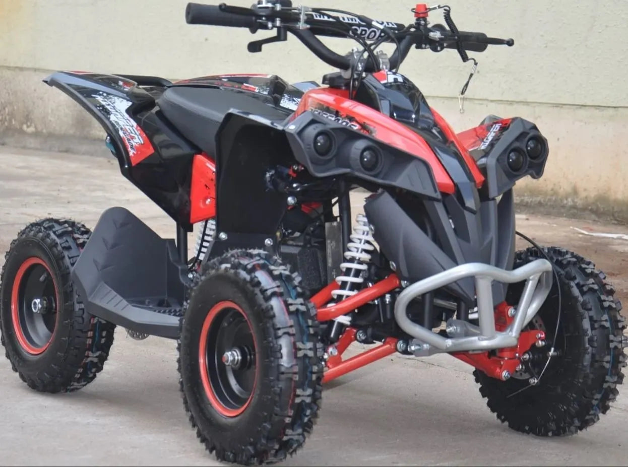Mini Quad Renegade  50cc XXL Ruote 6