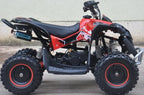 Mini Quad Renegade  50cc XXL Ruote 6