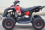Mini Quad Renegade  50cc XXL Ruote 6