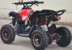 Mini Quad Renegade  50cc XXL Ruote 6