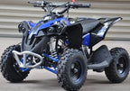 Mini Quad Renegade  50cc XXL Ruote 6