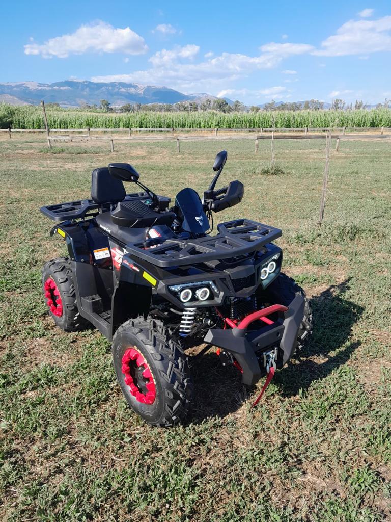 Quad Mega Scoprion ATV 200cc Ruota 10