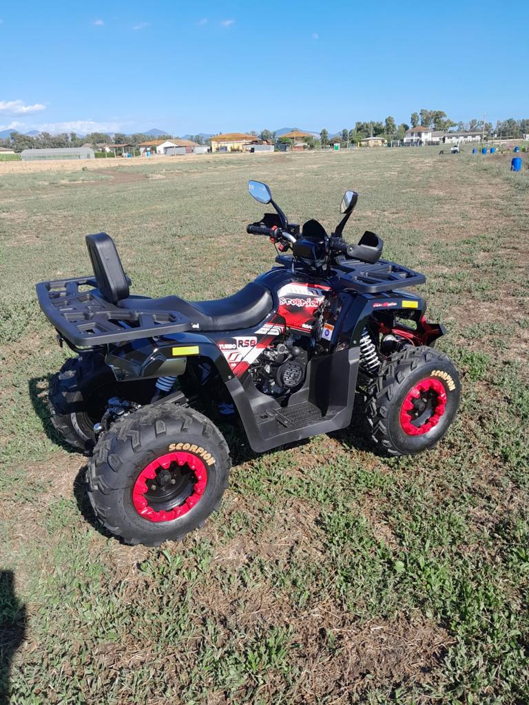 Quad Mega Scoprion ATV 200cc Ruota 10