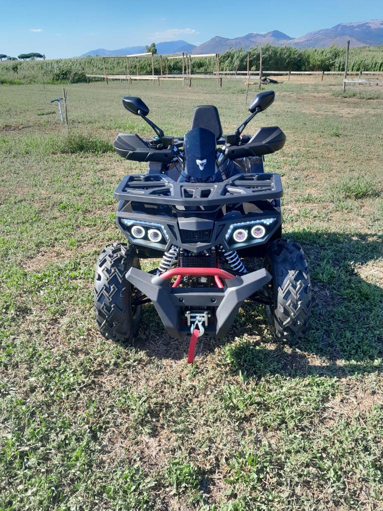 Quad Mega Scoprion ATV 200cc Ruota 10