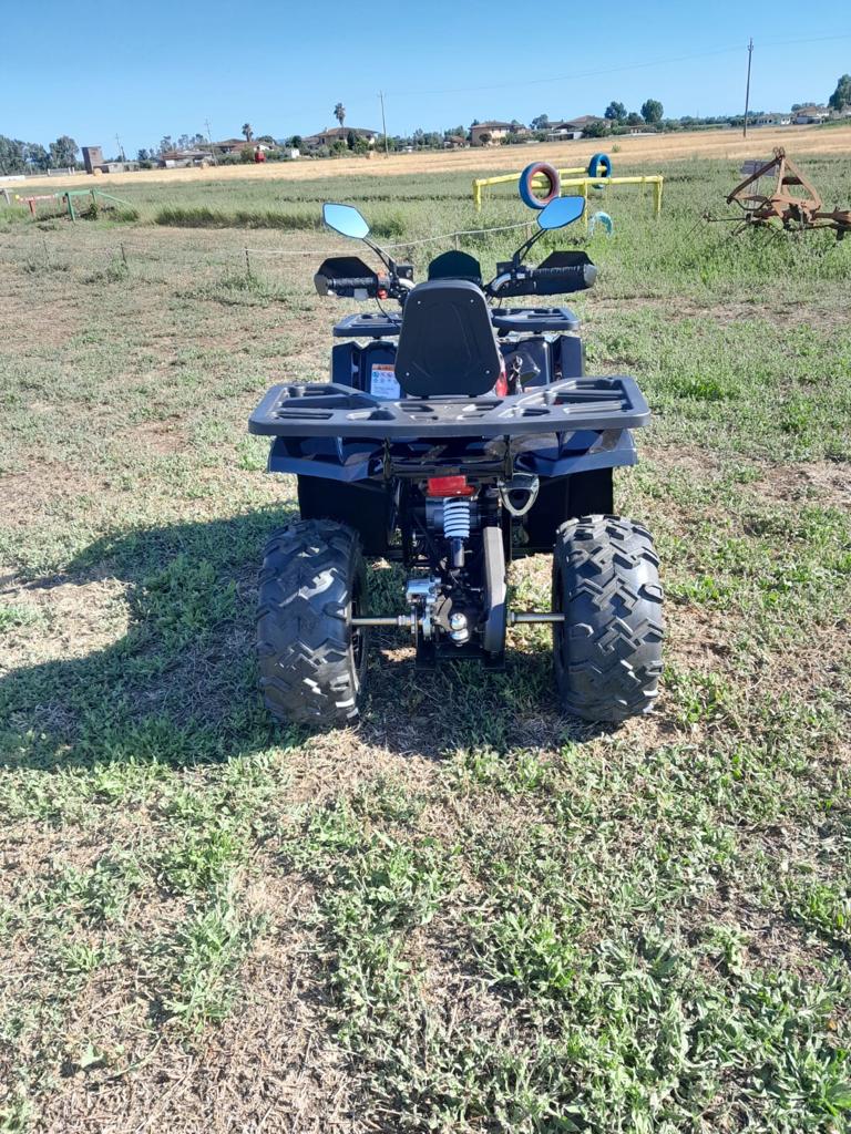 Quad Mega Scoprion ATV 200cc Ruota 10