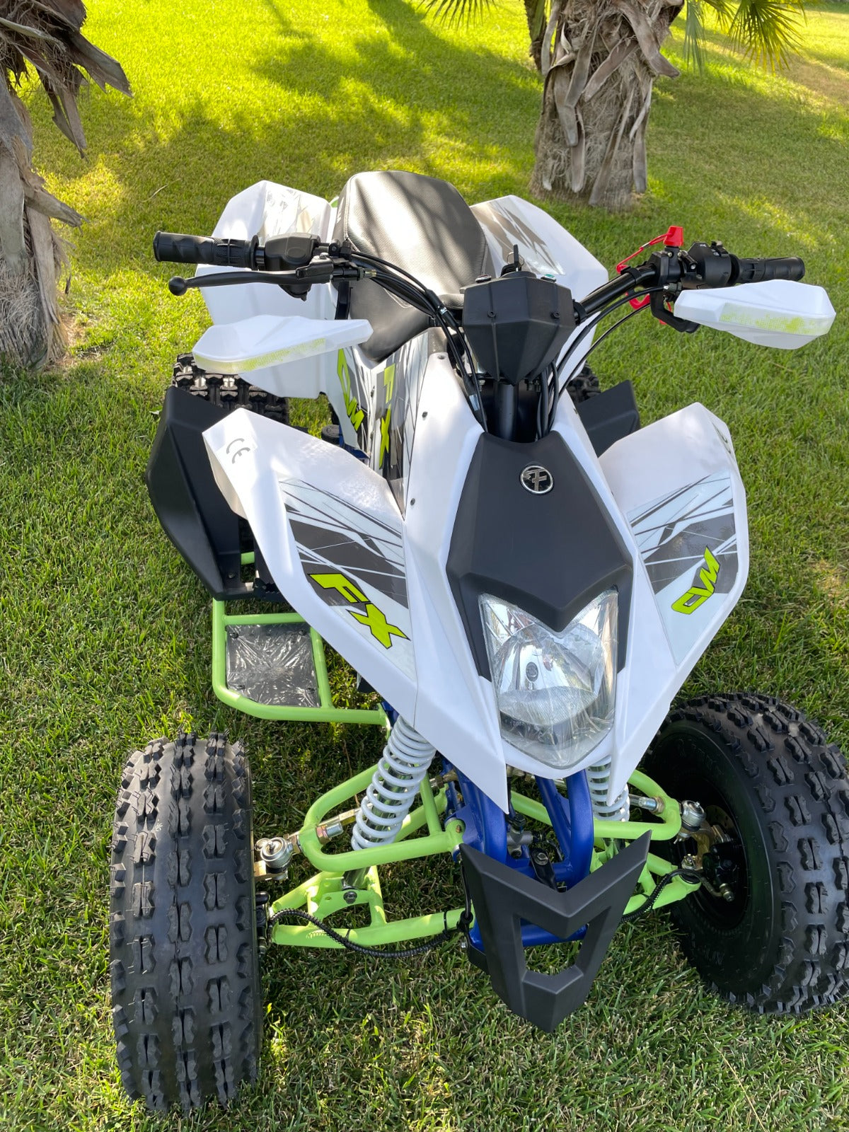 Maxi Quad Away 250cc Ruote 8 Racing