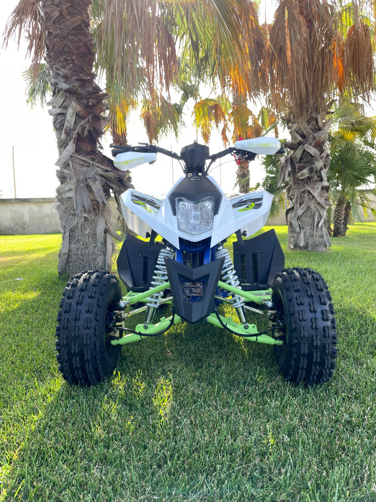 Maxi Quad Away 250cc Ruote 8 Racing