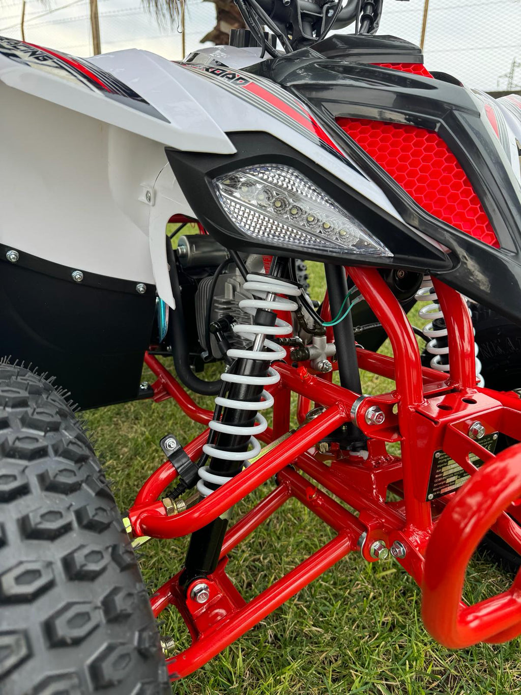 Quad Tigre 125cc Ruote 8 Maxi