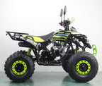 Quad Gunner 125 R8 FD PRO VERISION