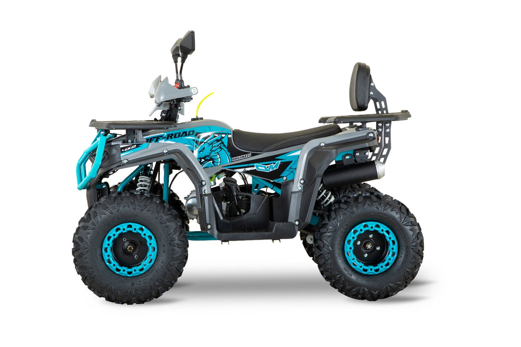 Quad Dragon 125cc Ruote 8 Maxi full optional
