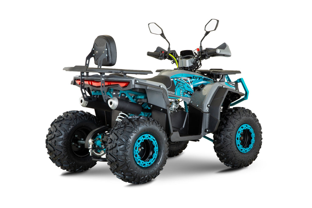 Quad Dragon 125cc Ruote 8 Maxi full optional