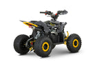Quad 110cc Pg PRO Ruote 6 + Retro