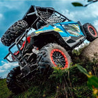 Buggy FX 800cc 4 Tempi Targabile T3B