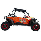 Buggy FX 800cc 4 Tempi Targabile T3B