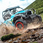 Buggy FX 800cc 4 Tempi Targabile T3B