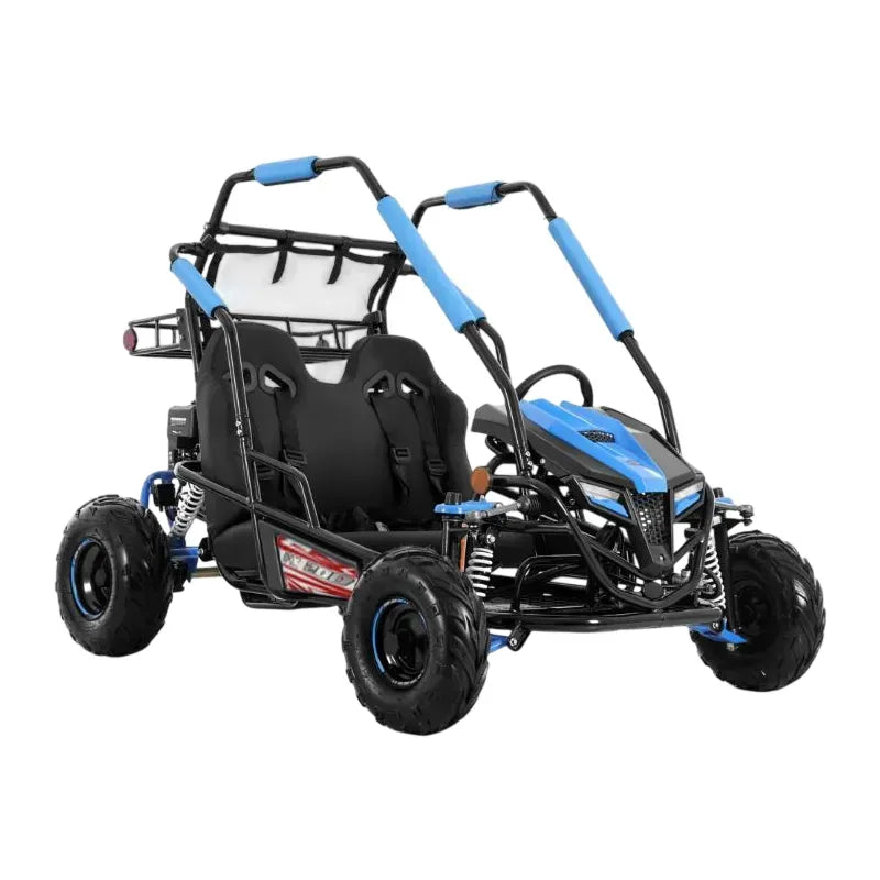 Buggy FX Easy 200cc Four Stroke 4 Tempi